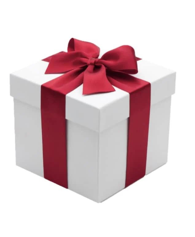 Illustrazione di un pacco regalo bianco con un fiocco rosso.